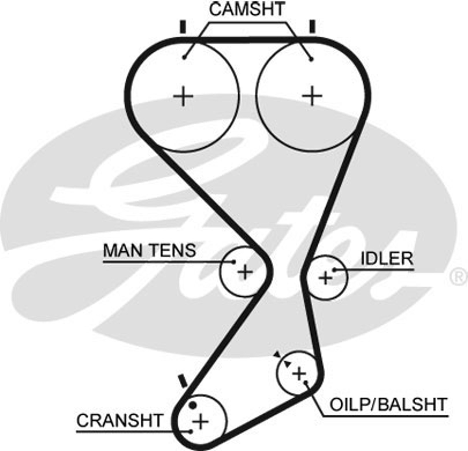 GATES 5556XS - Ремень ГРМ