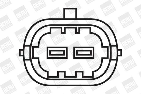 BERU ZS309 - Катушка зажигания