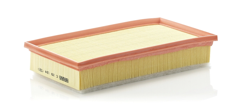 MANN-FILTER C 29 124 - Воздушный фильтр