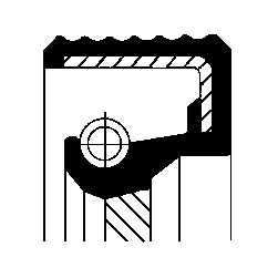 Сальник коленвала