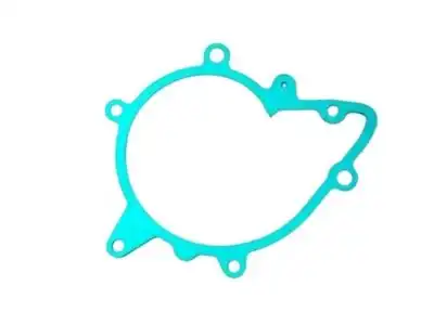 BMW 11511731372 - прокладка помпы