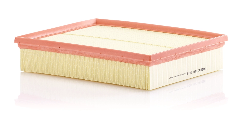 MANN-FILTER C 29 029 - Воздушный фильтр
