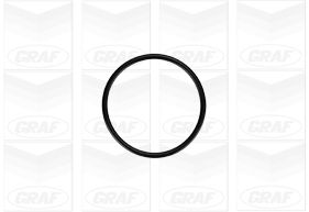 GRAF PA879 - Водяной насос - помпа