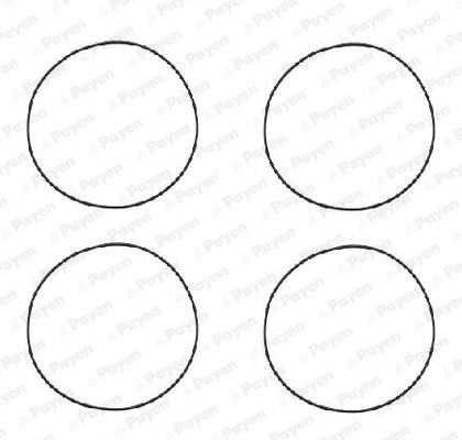 Кольца гильзы