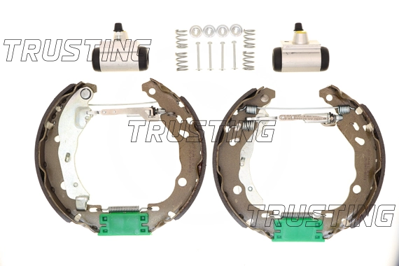 TRUSTING 6219 - Барабанные колодки