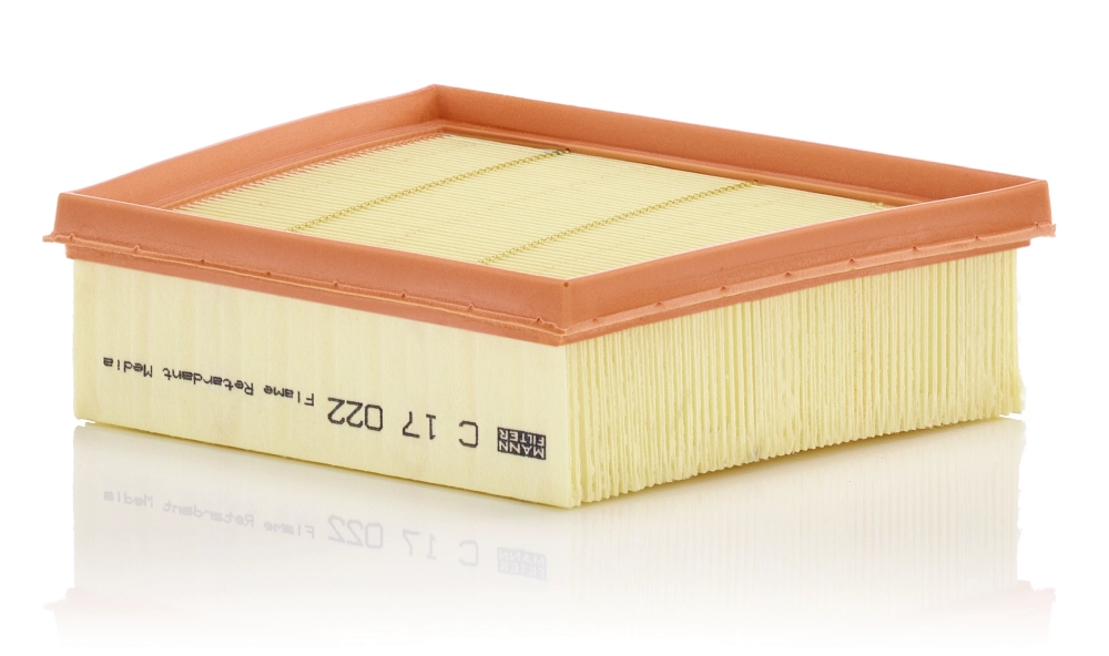 MANN-FILTER C 17 022 - Воздушный фильтр