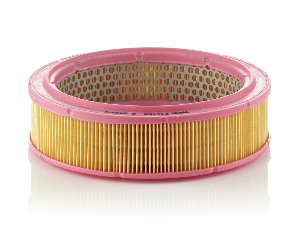 MANN-FILTER C24431 - Воздушный фильтр