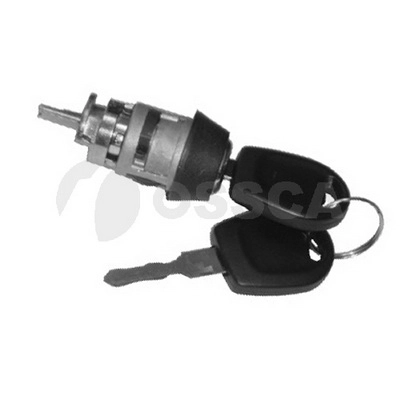 Личинка замка двери