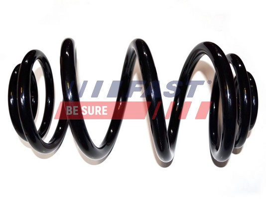 FAST FT12250 - Пружины 