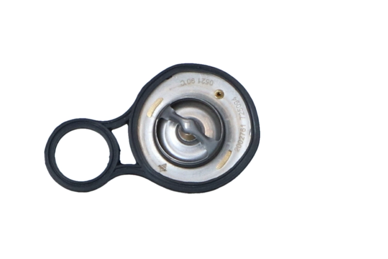 NRF 725094 - Термостат