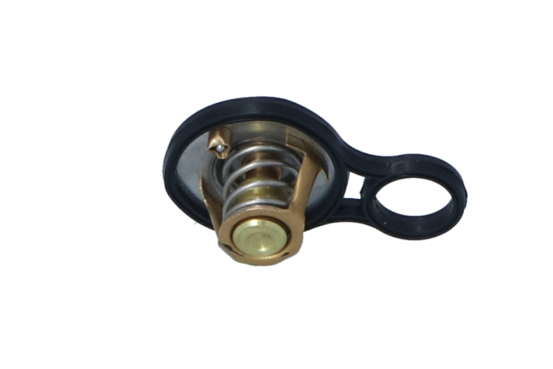 NRF 725094 - Термостат