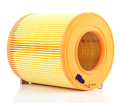 BSG BSG 90-135-016 - Воздушный фильтр