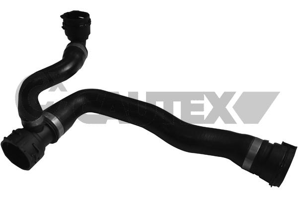 CAUTEX 753929 - Патрубки системы охлаждения