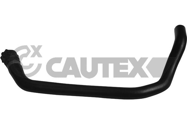 CAUTEX 753949 - Патрубки системы охлаждения
