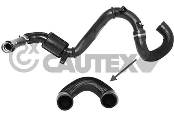 CAUTEX 753073 - Патрубок турбины