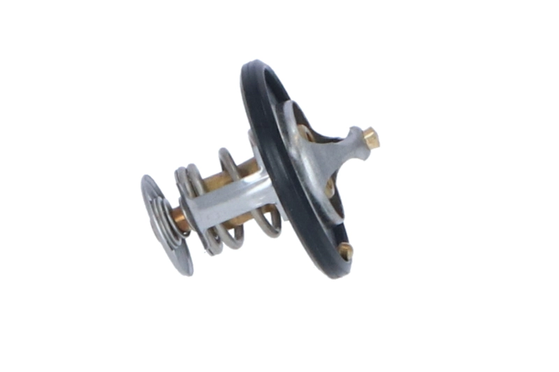 NRF 725087 - Термостат