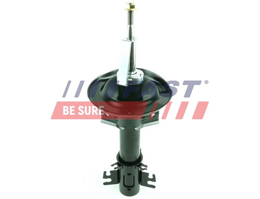 FAST FT11317 - Амортизатор