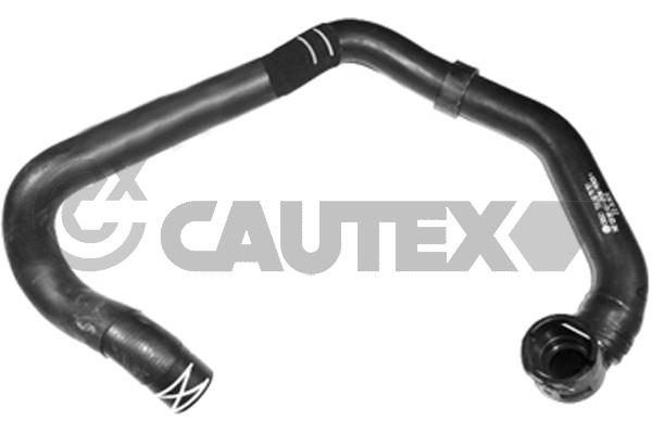 CAUTEX 466877 - Патрубки системы охлаждения