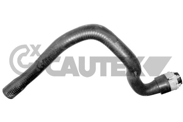 CAUTEX 752762 - Патрубки системы охлаждения