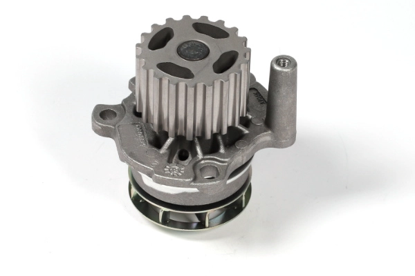 HEPU P654 - Водяной насос - помпа