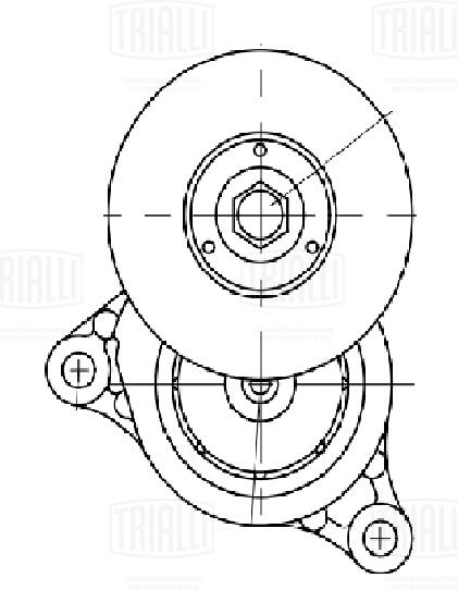 TRIALLI CM5117 - Натяжитель ремня генератора