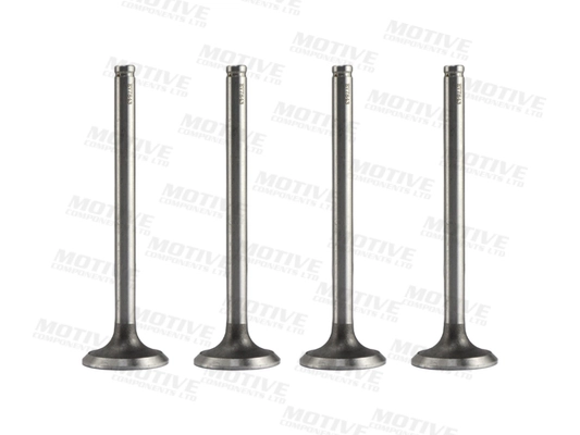 MOTIVE COMPONENTS EV7843 - Выпускной клапан