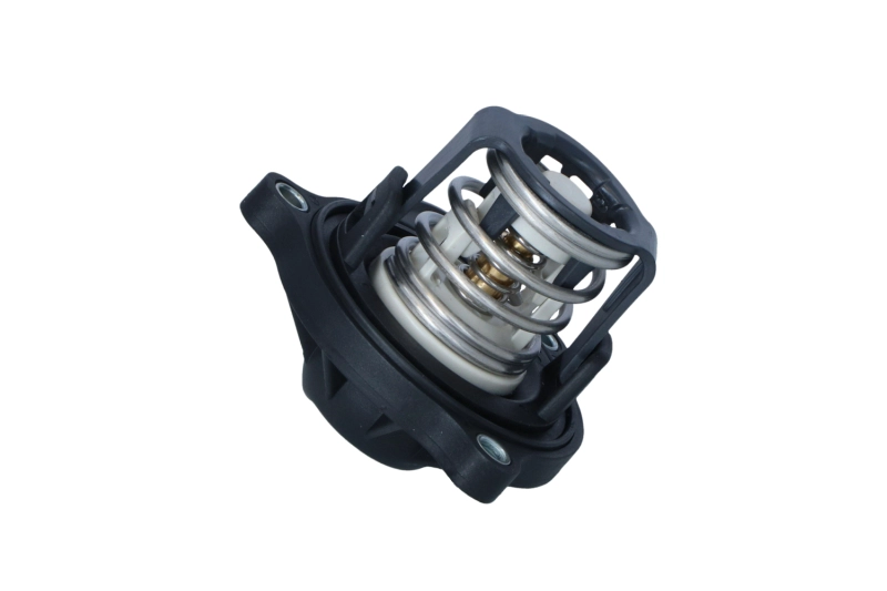 NRF 725207 - Термостат