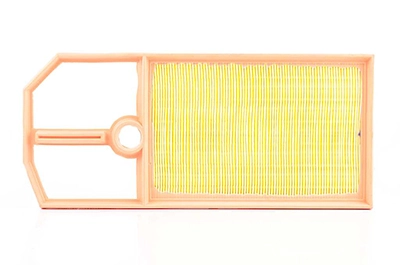 BSG BSG 90-135-008 - Воздушный фильтр