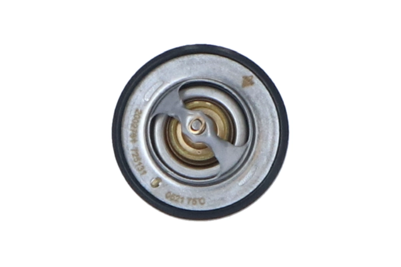 NRF 725131 - Термостат