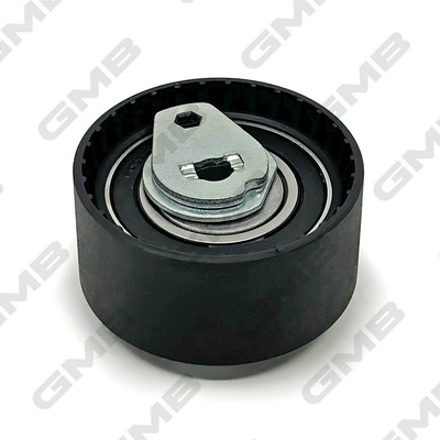 GMB GTB0250 - Натяжной ролик ГРМ