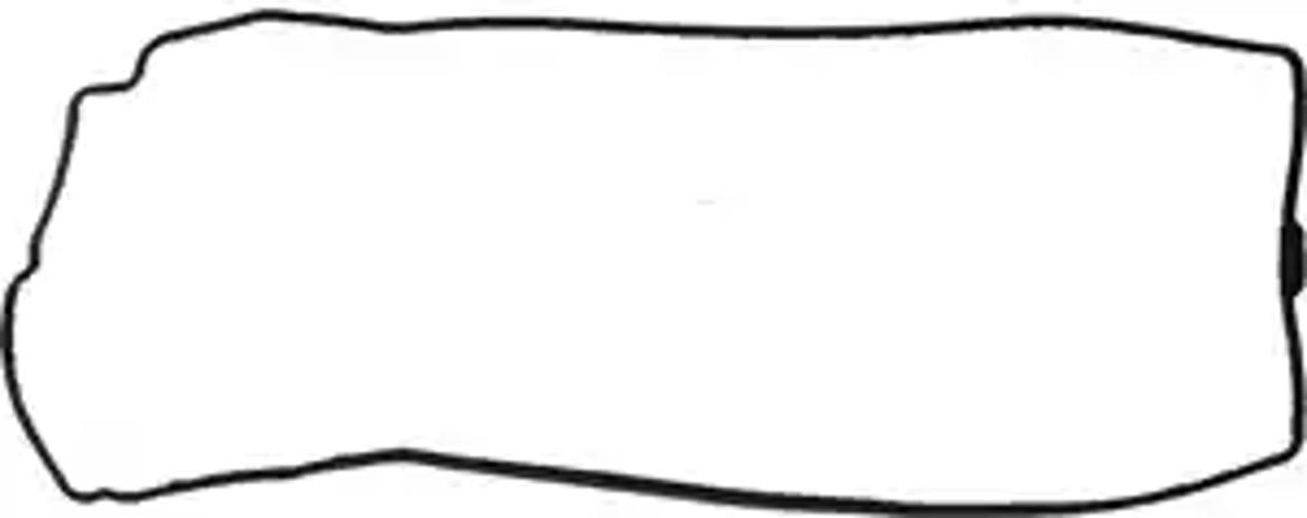 REINZ 71-53587-00 - Прокладка клапанной крышки