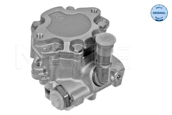 MEYLE 114 631 0009 - Насос ГУР