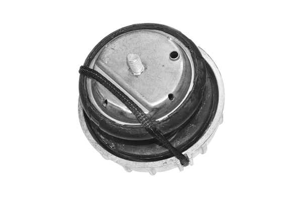 TED-GUM TED46098 - Подушка двигателя