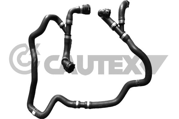 CAUTEX 765638 - Патрубки системы охлаждения