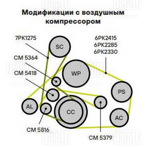 TRIALLI CM 5379 - Натяжитель ремня генератора