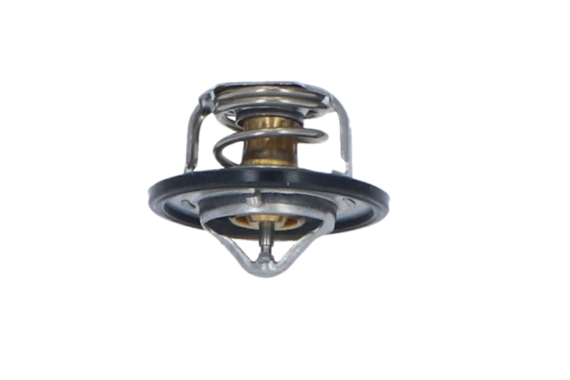 NRF 725080 - Термостат