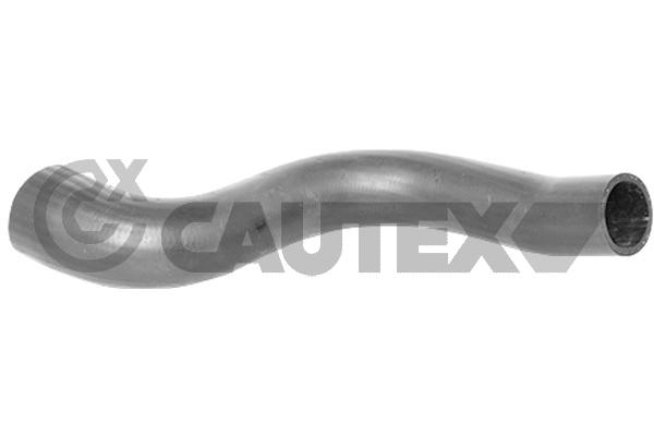 CAUTEX 754586 - Патрубок турбины