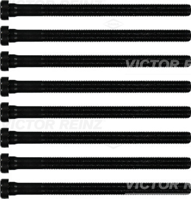 VICTOR REINZ 14-32196-01 - Болты ГБЦ