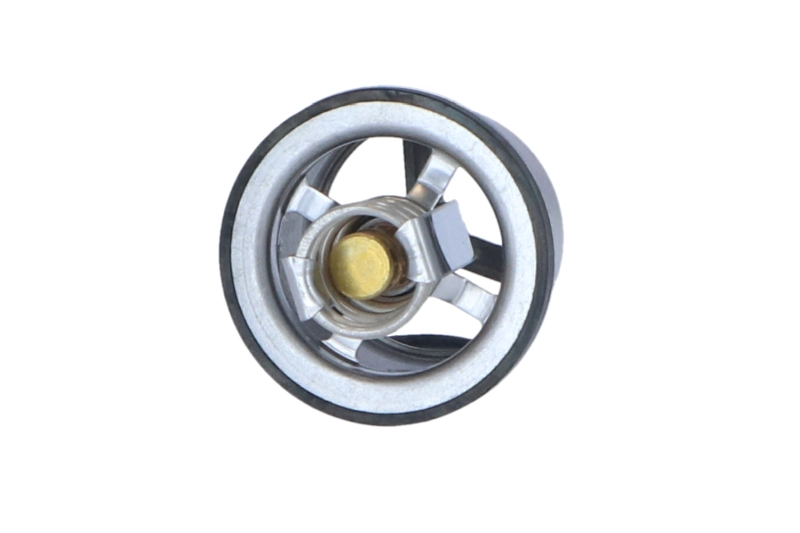 NRF 725020 - Термостат