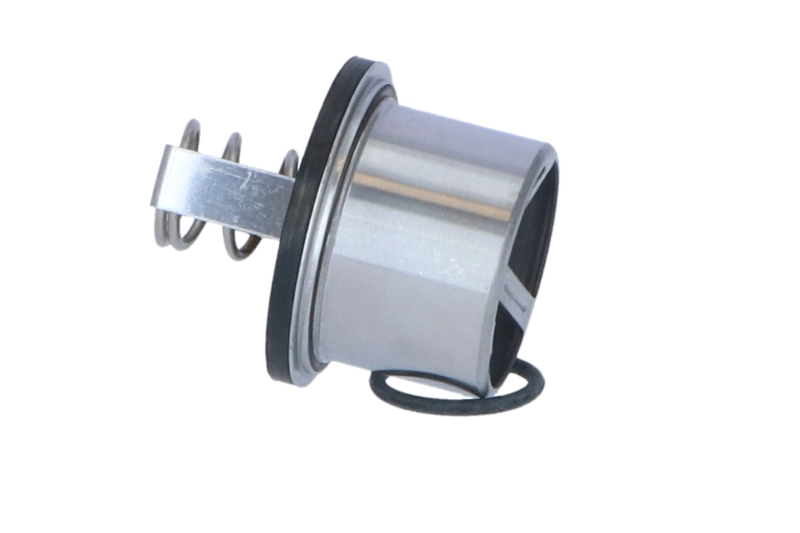 NRF 725020 - Термостат