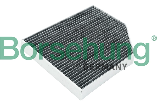 BORSEHUNG B12801 - Салонный фильтр