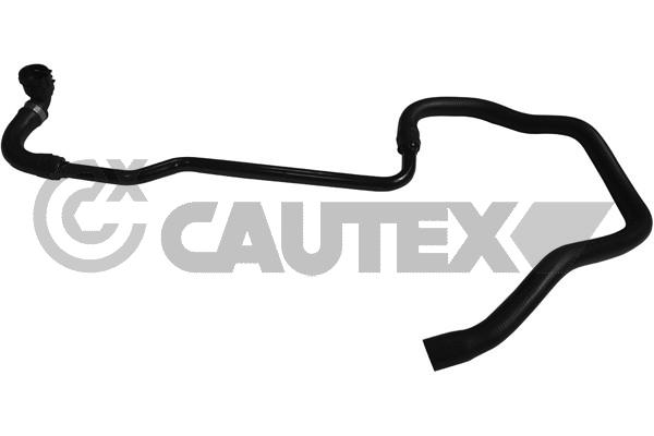 CAUTEX 753963 - Патрубки системы охлаждения
