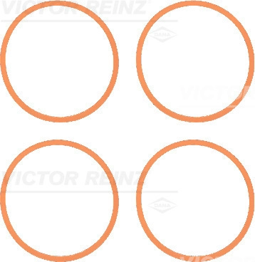 Прокладка впускного коллектора