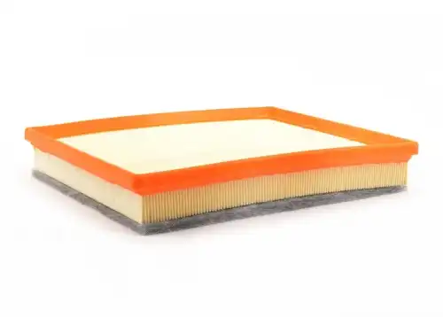 BMW 13718616909 - Фильтр воздушный
