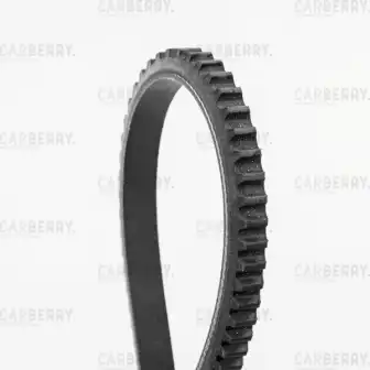 CARBERRY 13x925 - ремень клиновой