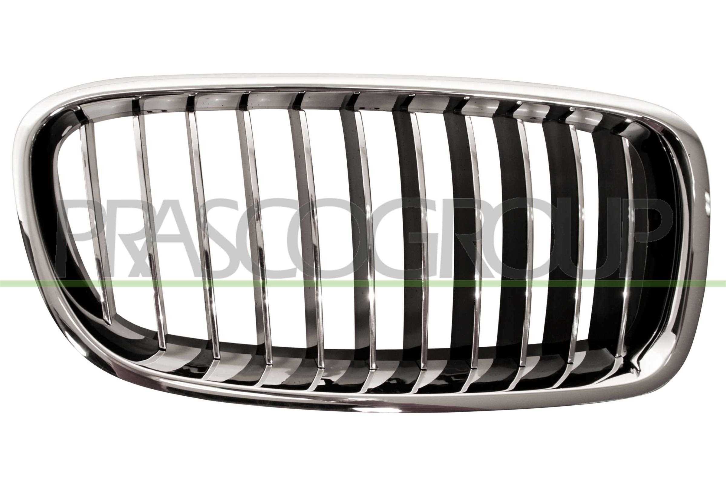 Решетка радиатора Premium