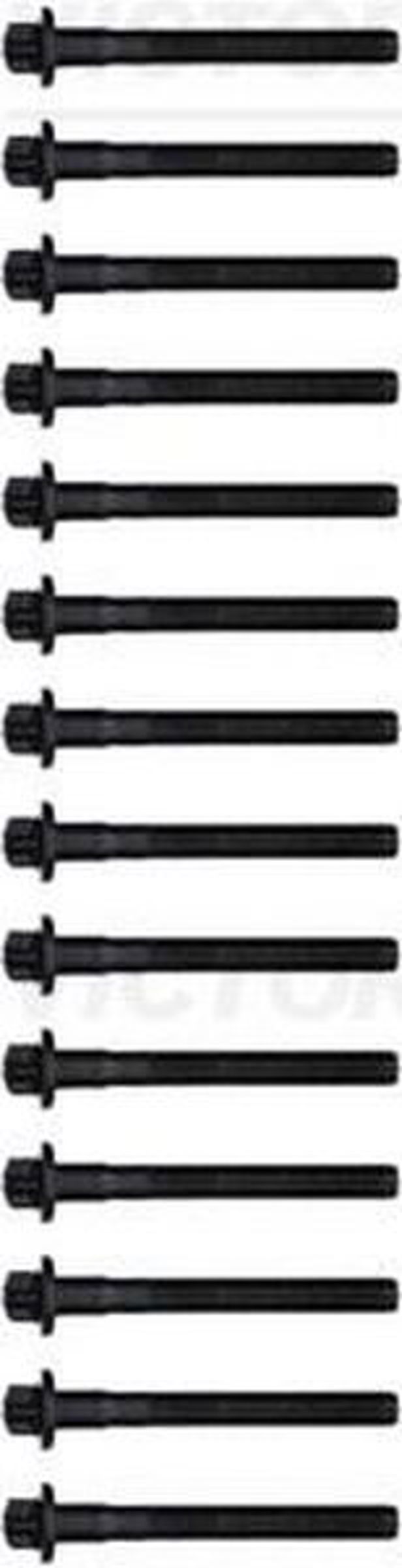 REINZ 143210903 - Комплект болтов ГБЦ MB W210 3.2CDi 24V OM613 99>