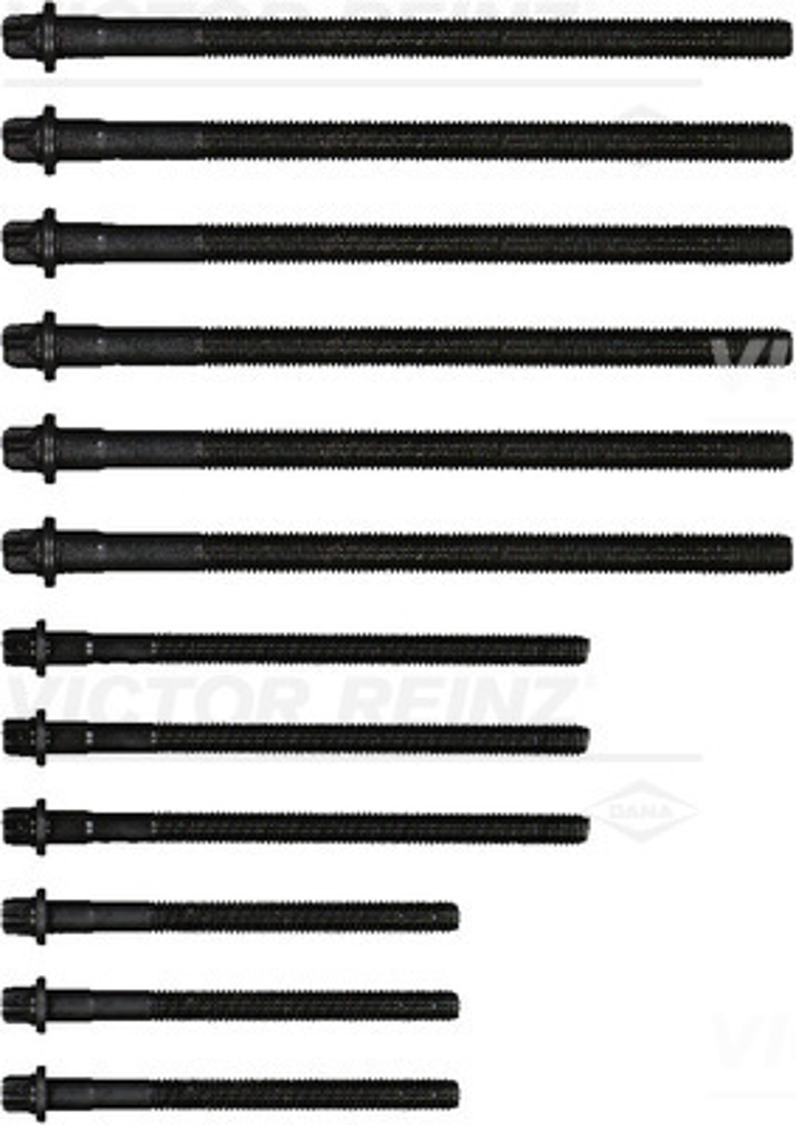 REINZ 143231401 - Болты ГБЦ (к-т)