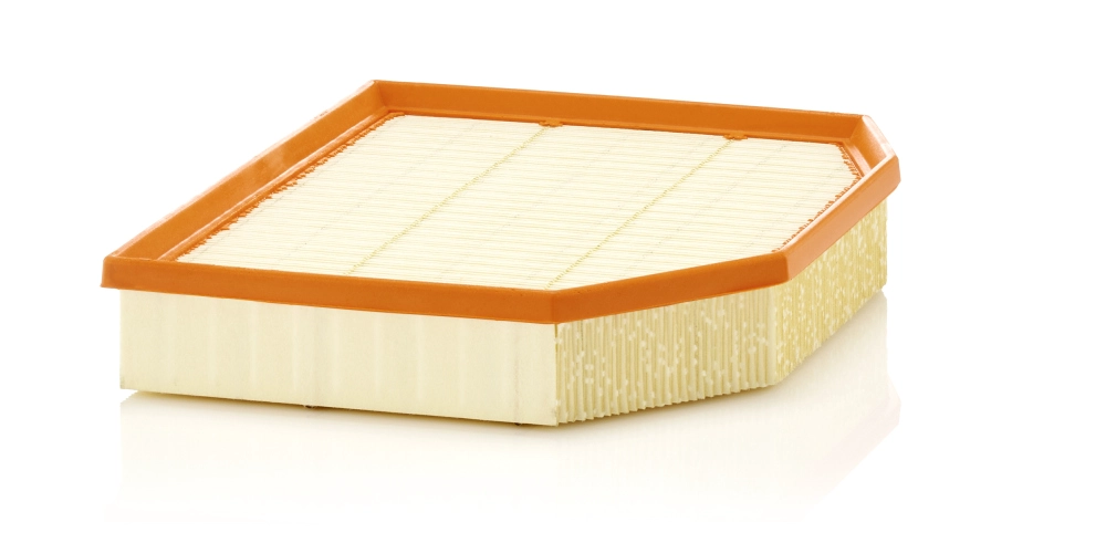 MANN-FILTER C 29 132 - Воздушный фильтр