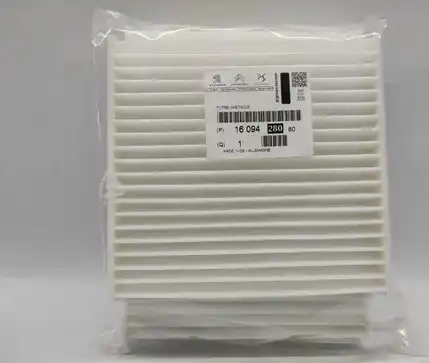 PSA 1609428080 - ФИЛЬТР САЛОННЫЙ (КОМПЛЕКТ ИЗ 2Х ШТ.)